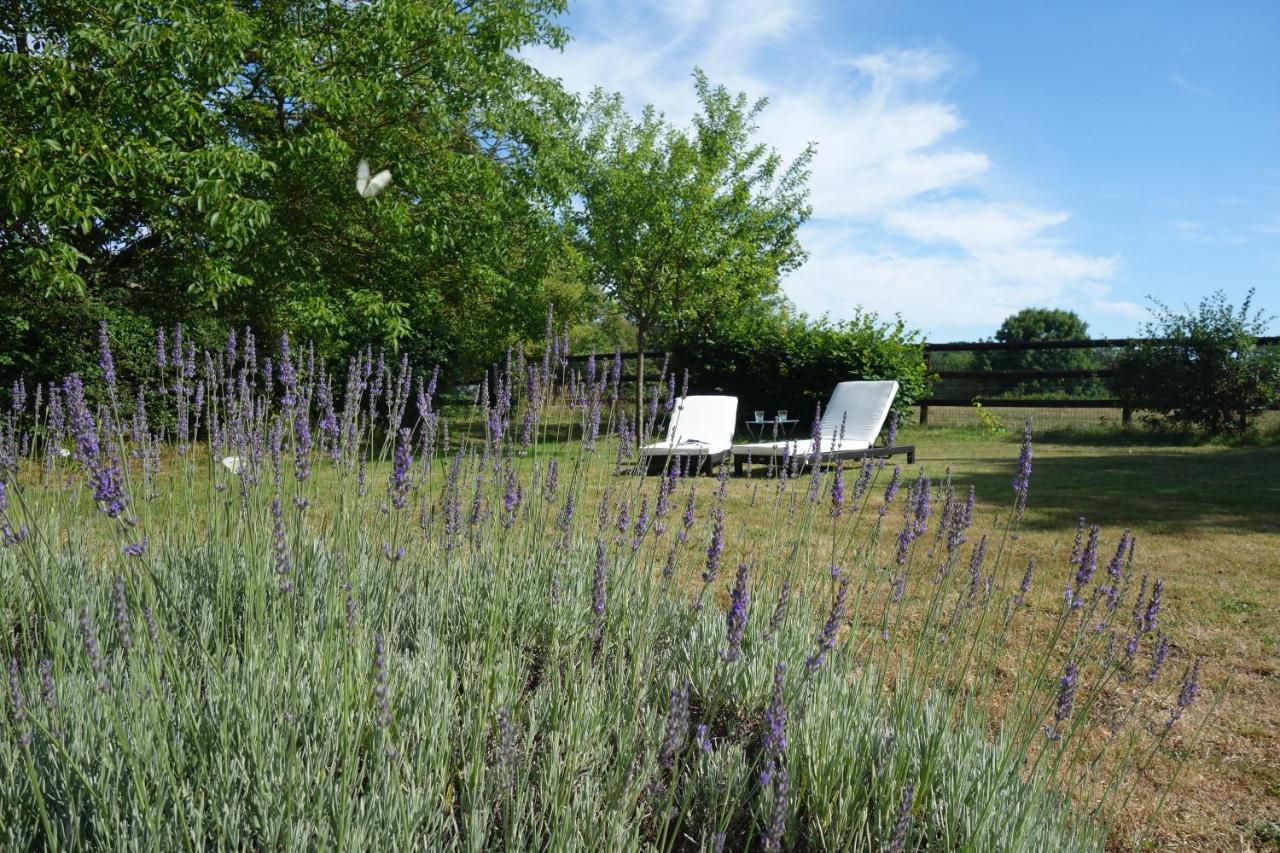 Le Cottage Du Coudray, Gite Avec Chalet Sauna La Fresnaie-Fayel Εξωτερικό φωτογραφία