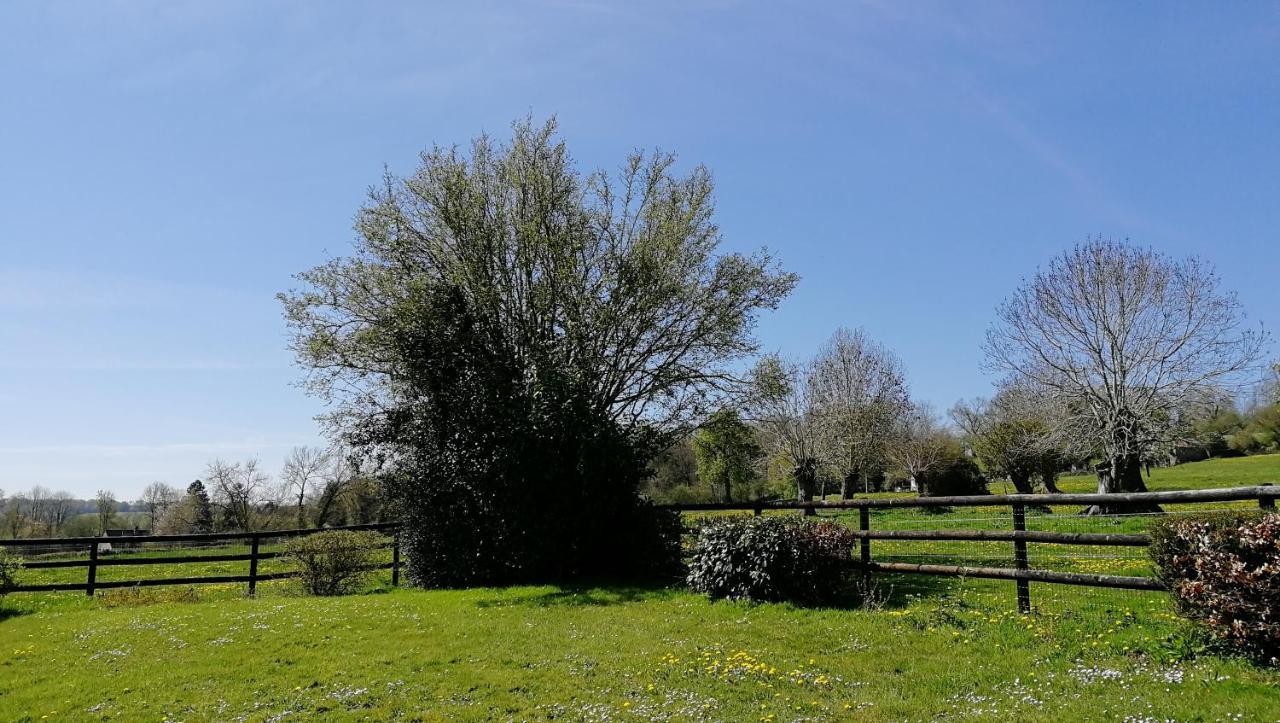 Le Cottage Du Coudray, Gite Avec Chalet Sauna La Fresnaie-Fayel Εξωτερικό φωτογραφία